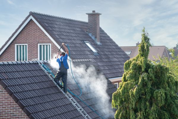 Minneapolis Roof Cleaning