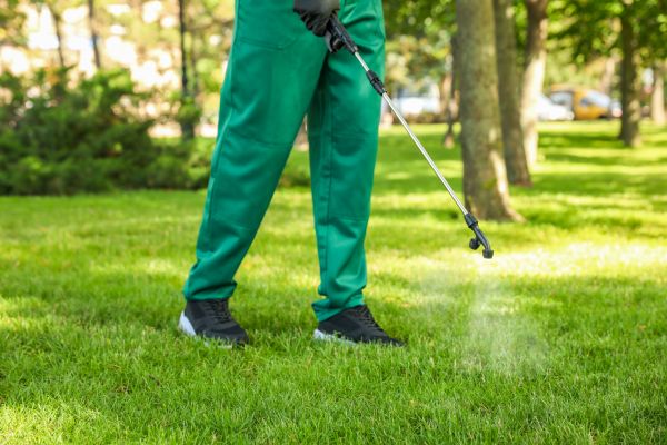 Minneapolis Lawn Treatment